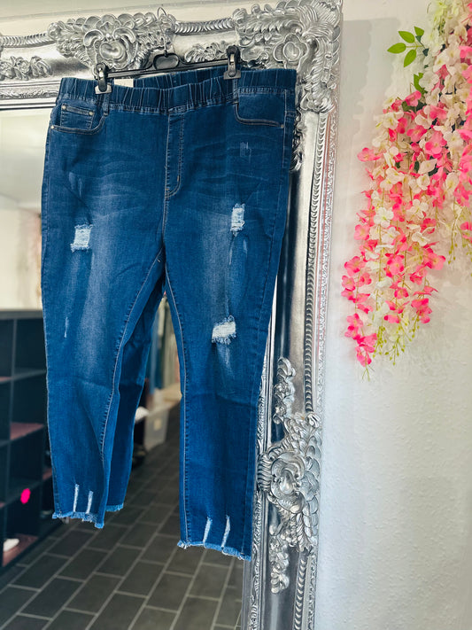 Curve Harriet Jeggings