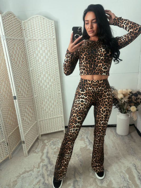 Leopard gym set